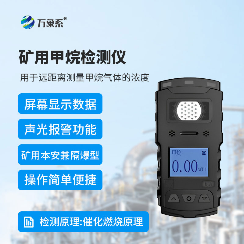 可燃?xì)怏w檢測儀